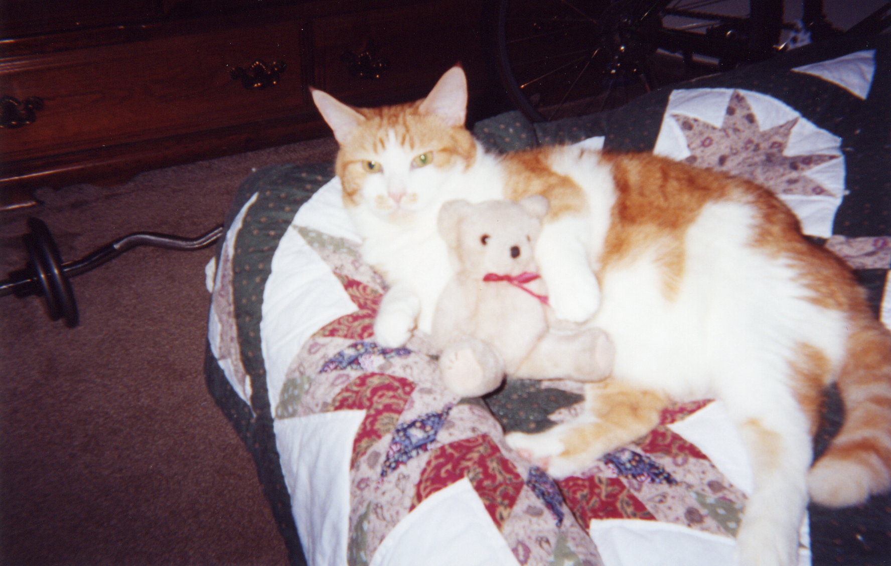 file0005.jpg