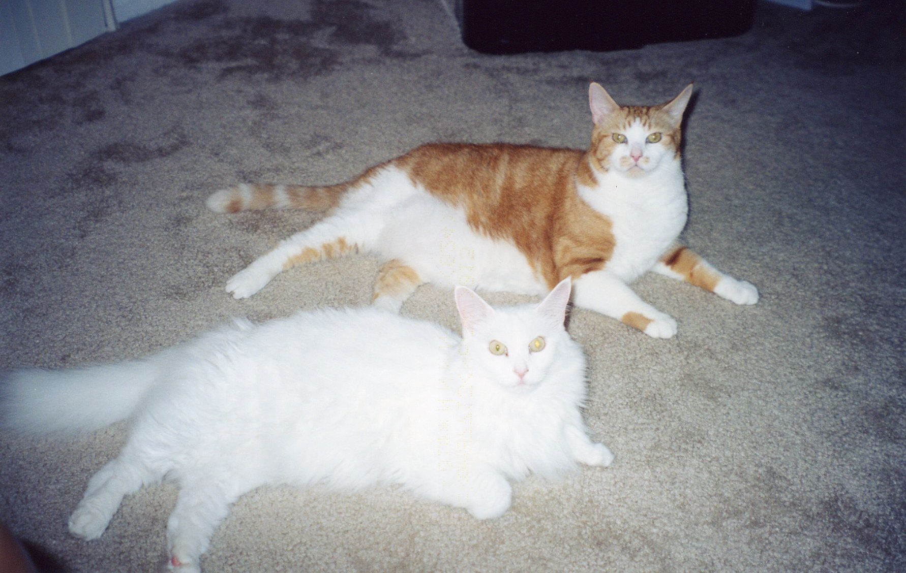 file0024.jpg