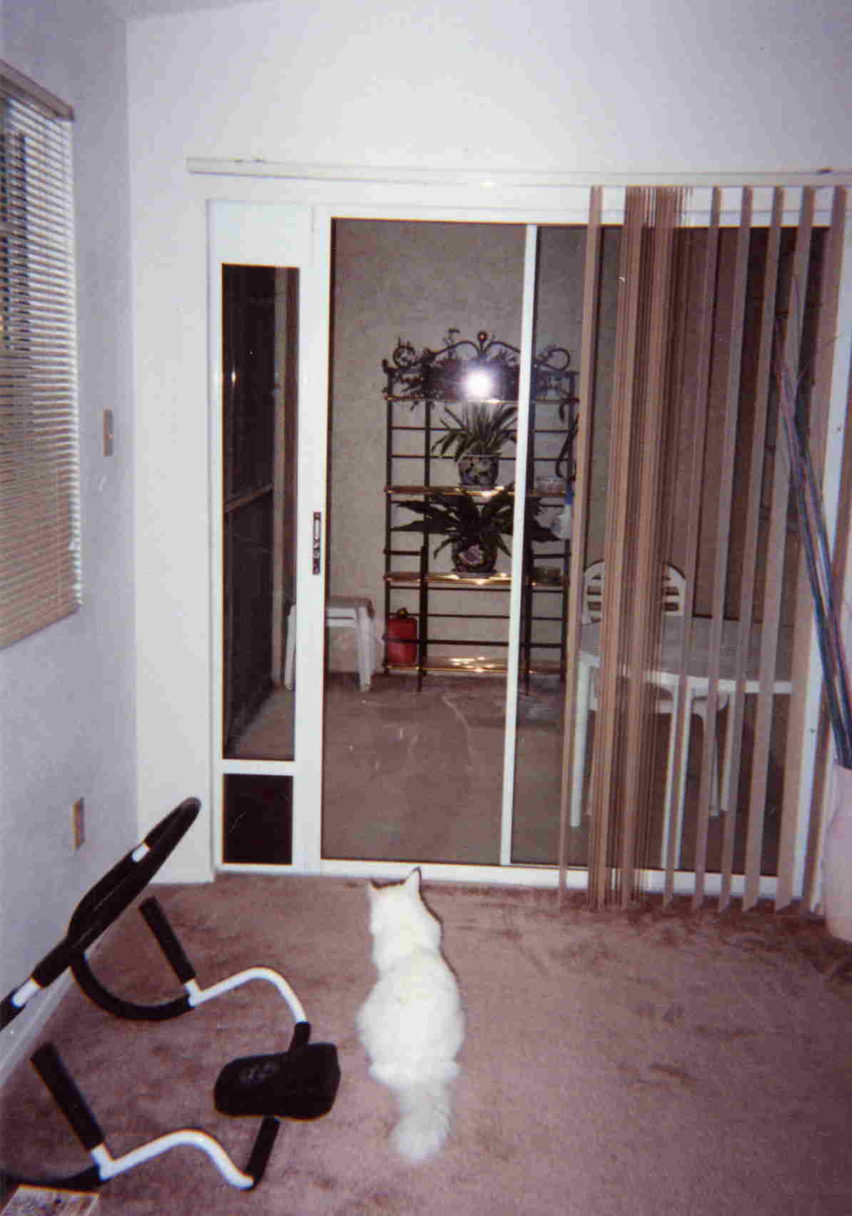patio.jpg